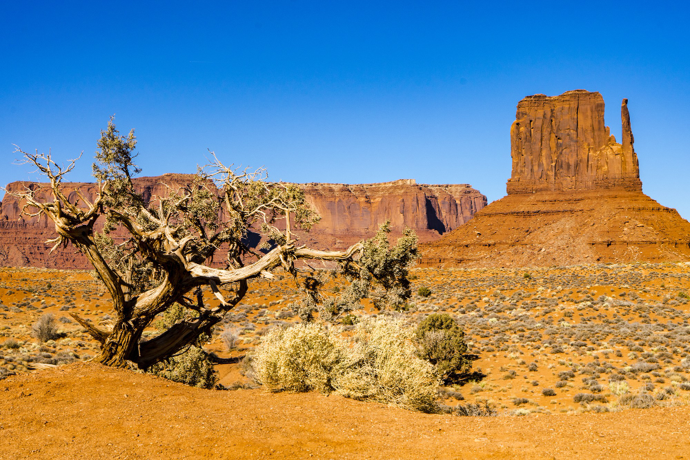 Prenup New Mexico: What the State Requires