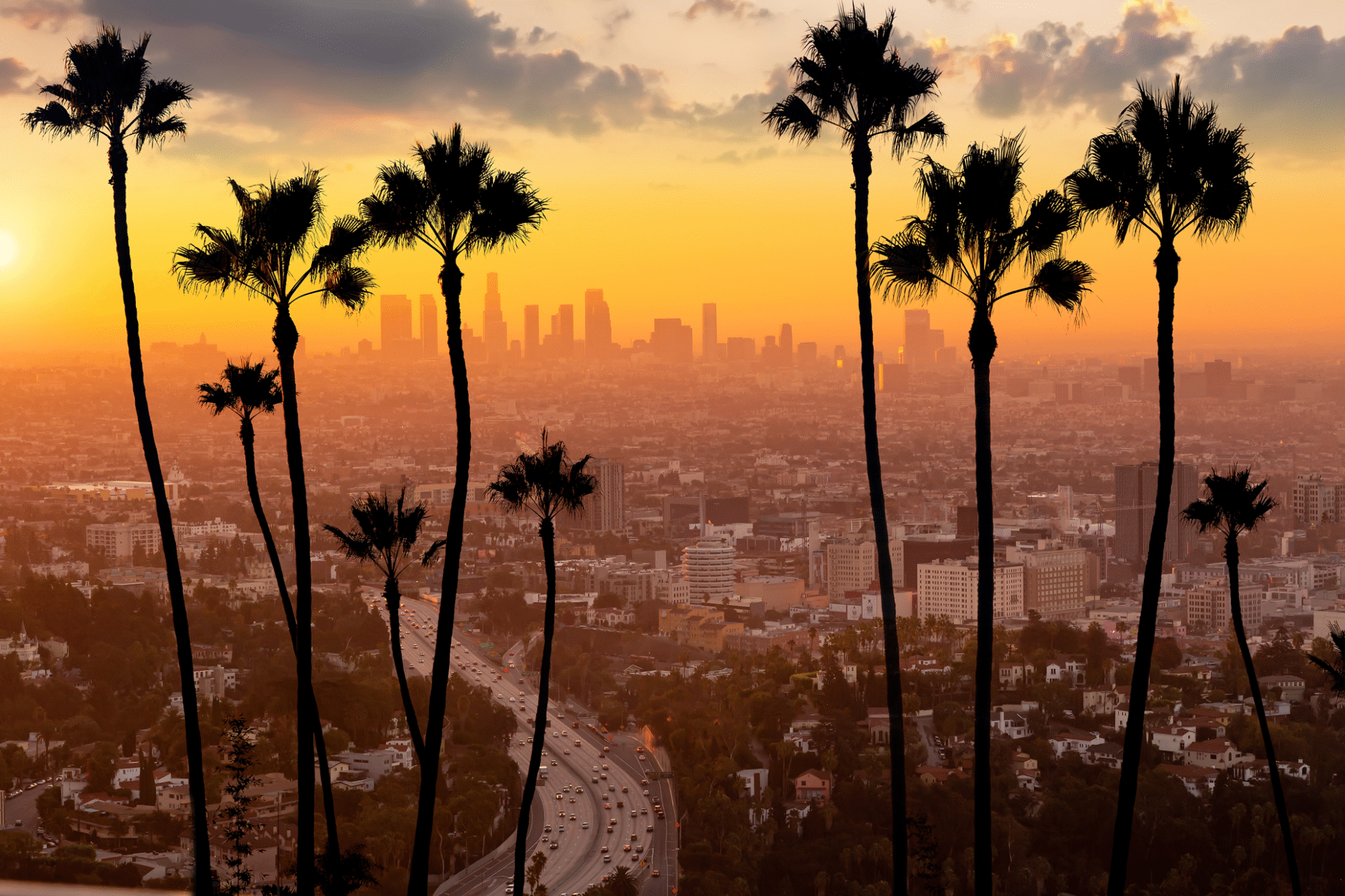 Prenup California: Create Agreement Online in Just One Day california